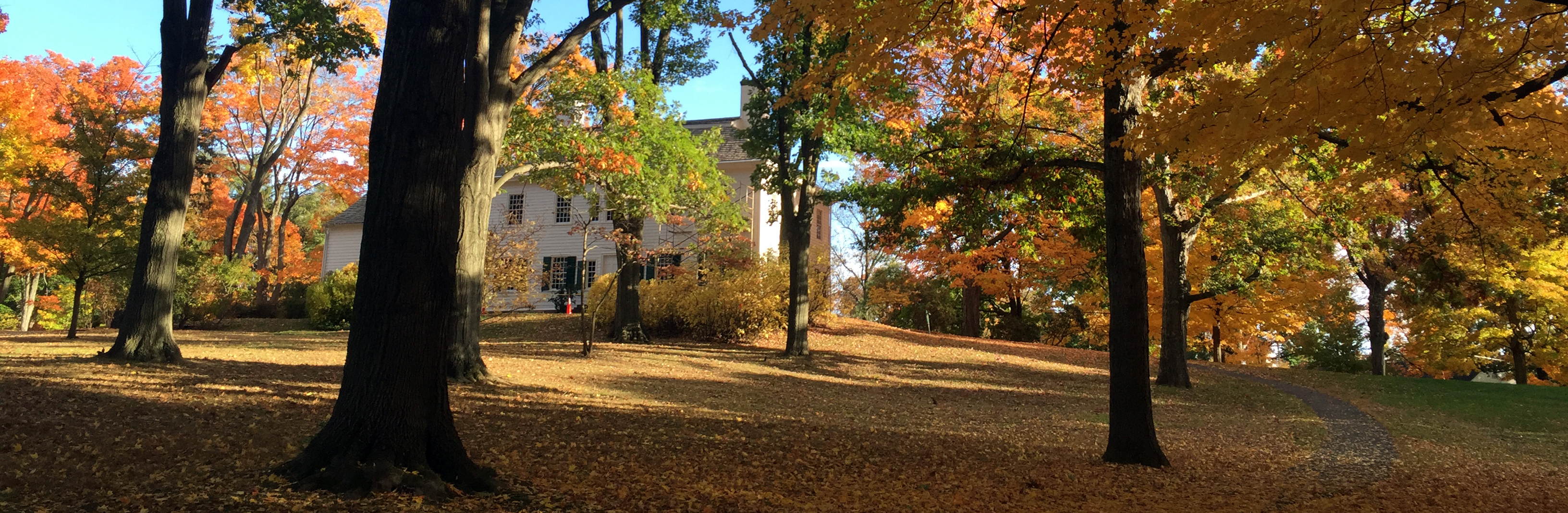 The Ford Mansion